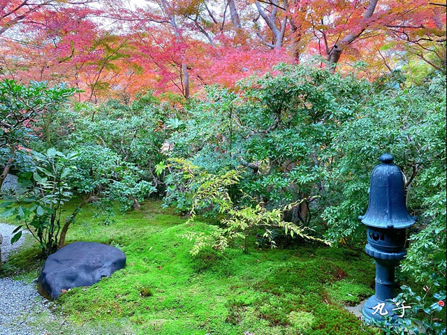 "京都最值得去的地方👍琉璃光院_京都"的评论图片