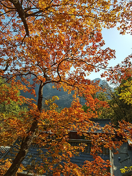 北京上方山国家森林公园旅游景点攻略图