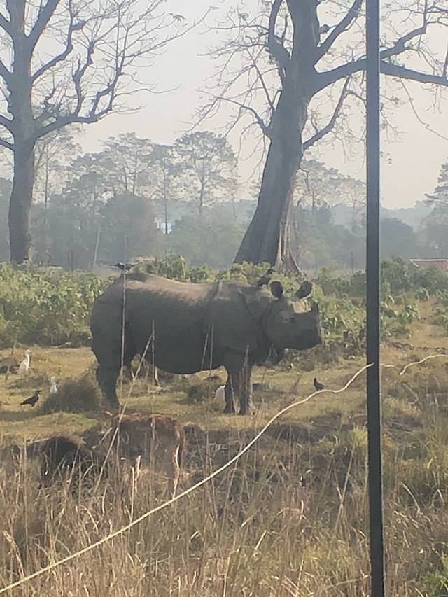 奇特旺那纳雅尼河