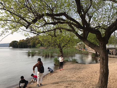 会仙桥旅游景点图片