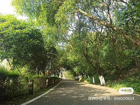 古宇湖风景名胜区旅游景点攻略图