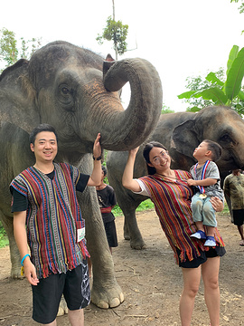 普吉岛奈迪大象保护营旅游景点攻略图