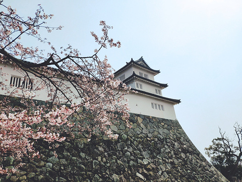 21彦根城 旅游攻略 门票 地址 问答 游记点评 琵琶湖旅游旅游景点推荐 去哪儿攻略