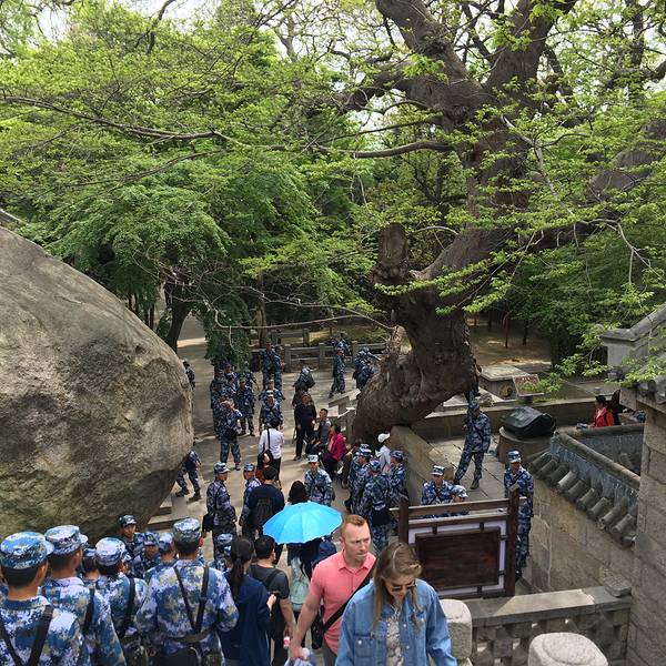 崂山太清宫游玩攻略,崂山太清宫门票多少钱一张
