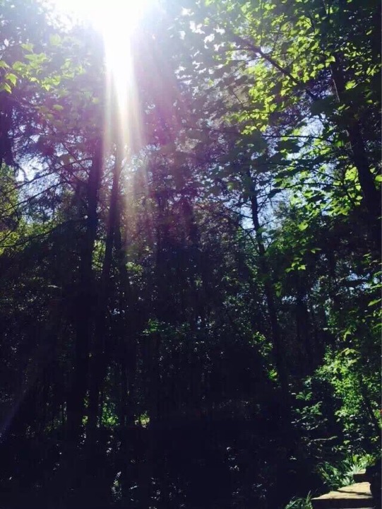 重庆九凤瑶池海明山庄