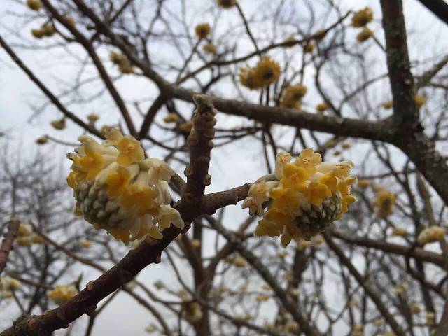 中国碧城世界地质公园陈峭景区