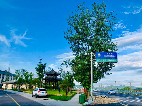 驿亭镇世外梅源