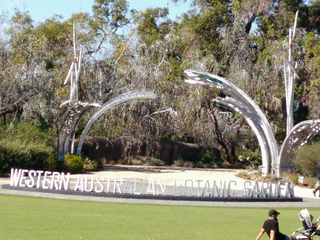 "...Kings Park）地处珀斯市区以西，紧邻澳洲最美的大学——西澳大学，是南半球最大的城市公园_国王公园&植物园"的评论图片