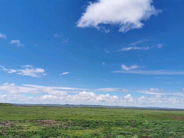 花湖真的值得一来,特别是大晴天的日子,直接上图细看吧.