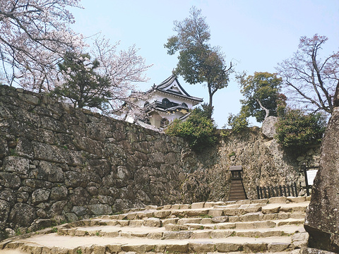 21彦根城 旅游攻略 门票 地址 问答 游记点评 琵琶湖旅游旅游景点推荐 去哪儿攻略