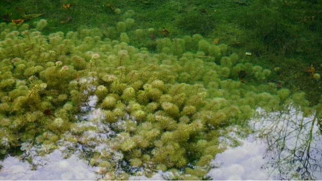 重庆九凤瑶池海明山庄