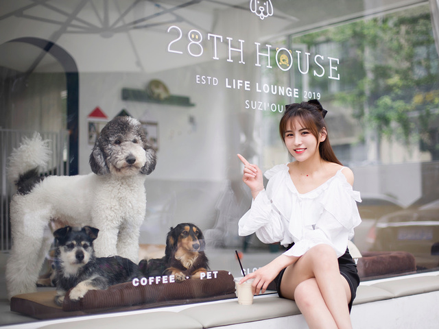 "苏州探店｜一家可以撸狗的咖啡馆28th house_28TH HOUSE"的评论图片