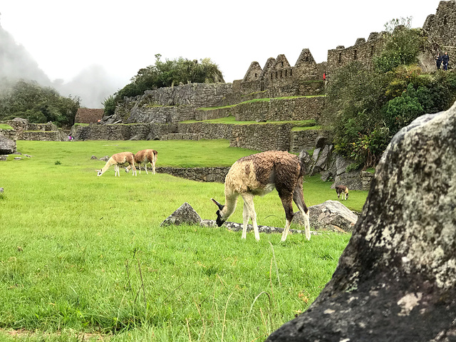 "随后盘山路蜿蜒而上，来到遗址。加上下雨天，雨大的时候，路面上的雨水流成了河。烟雾缭绕着周围的山峰_马丘比丘"的评论图片