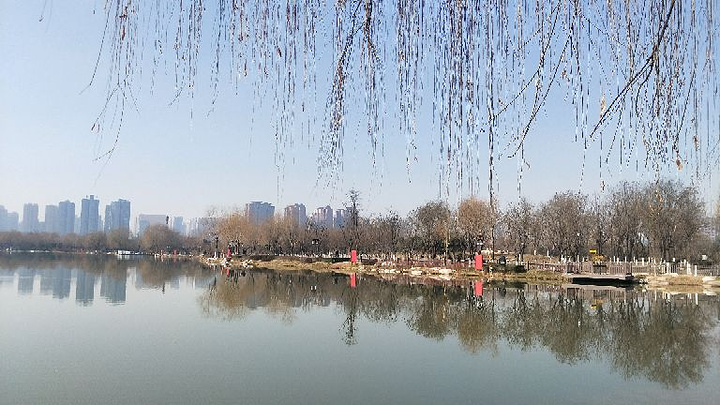 "大明宫整体面积非常大，相当于3个凡尔赛宫，15个白金汉宫，也有北京故宫的4.5倍之大，对考古和..._大明宫国家遗址公园"的评论图片
