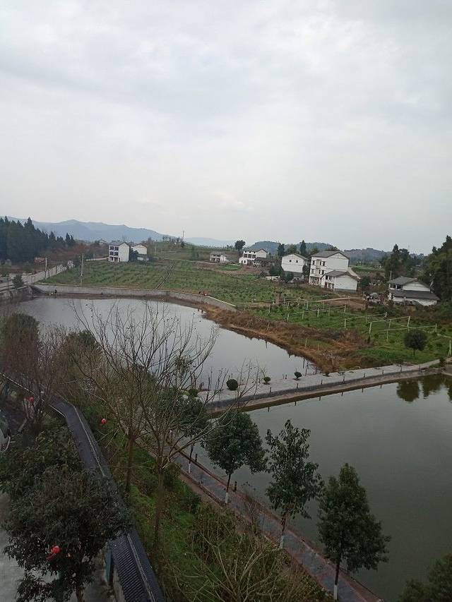 四川省渠县土溪初级中学