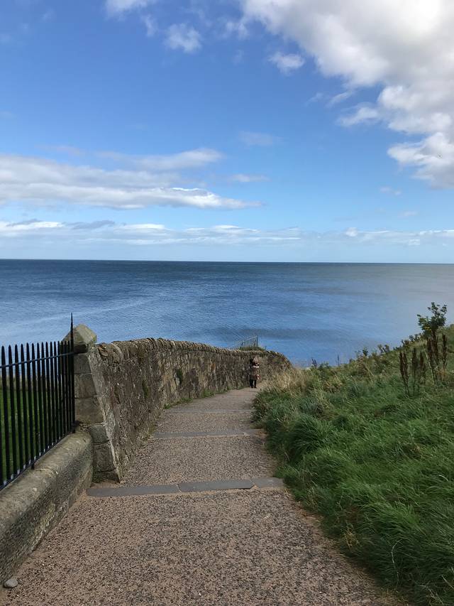 圣安德鲁斯大学