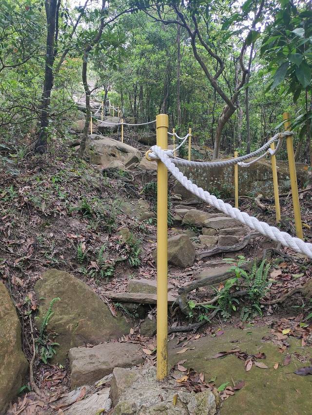 金面山亲山步道
