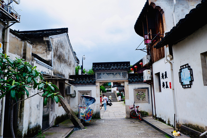 浙江有4个妇科非常的出名:嘉兴陈氏,宁波宋氏,萧山竹林寺,绍兴钱氏