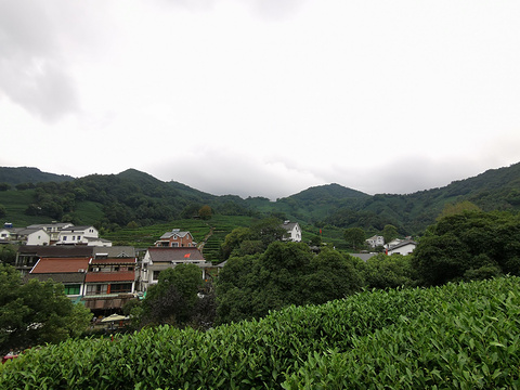 龙井村旅游景点攻略图