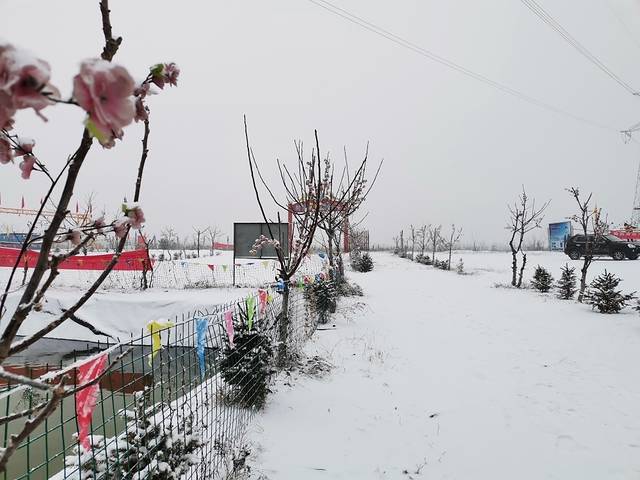 岭回滑草滑雪场