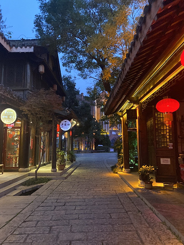 "枣庄台儿庄景区的夜晚_船形街"的评论图片