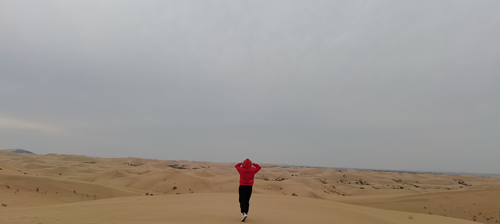 "在这里能拍到想要的沙漠大片风景照。2️⃣悦沙岛－特别推荐👍★看沙漠的好地方游乐项目略分散_响沙湾"的评论图片