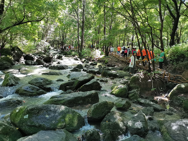 香爐山入口_香爐山國家森林公園