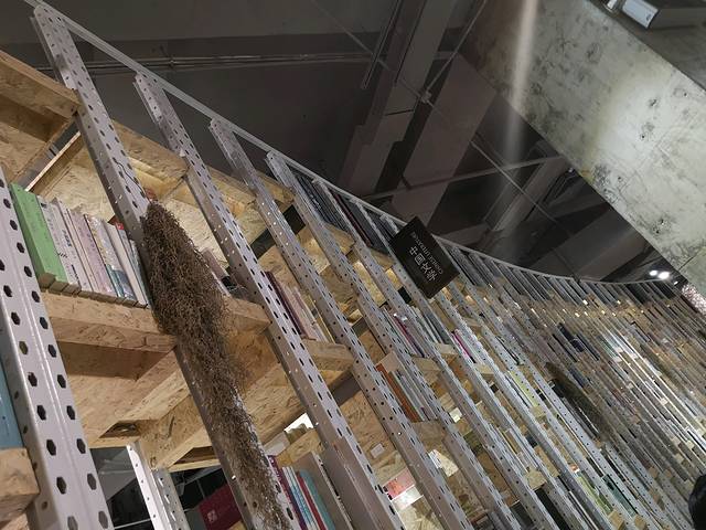 红树林电影工坊