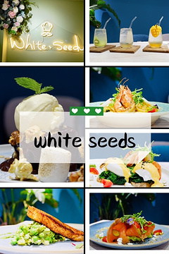 white seeds·Bistro/Brunch/Coffee旅游景点攻略图