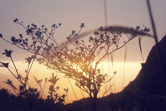 铜鼓峰风景区旅游景点图片