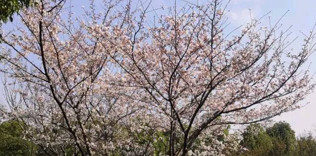 康缘医药科技园
