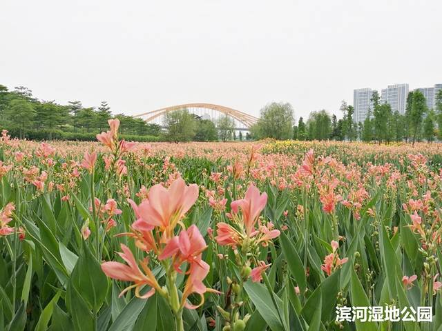 乐从国家水利风景区