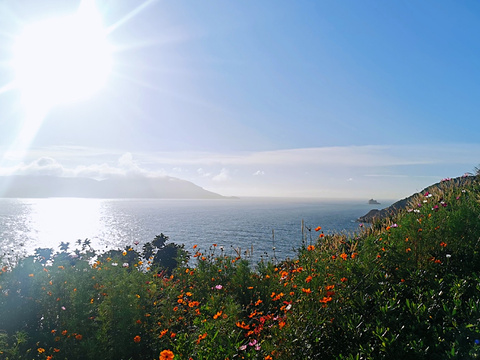 东极岛风景区旅游景点攻略图