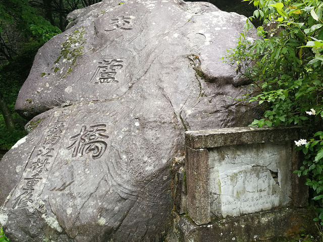 "返回 芦林湖。三宝树介绍。黄龙潭介绍。乌龙潭介绍。悬索桥介绍。索道车票。下午 毛泽东旧居。庐山博物馆_芦林湖"的评论图片