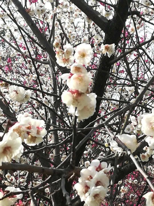 凉山红军长征纪念馆