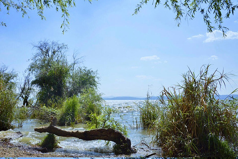 捞鱼河湿地公园旅游景点攻略图