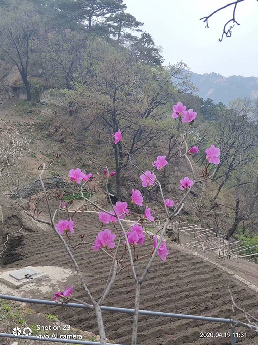 千山弥勒大佛图片