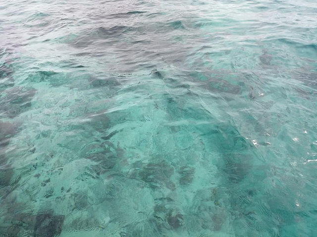 "这是马达京岛第二个浮潜点，马达京是私人岛屿不允许随便上岛_马达京岛"的评论图片