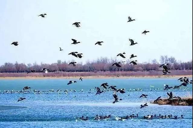 陕西红碱淖风景区