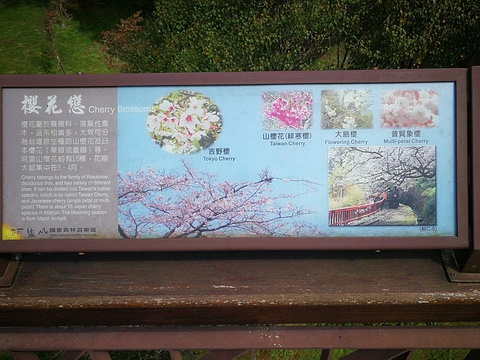 沼平公园旅游景点图片