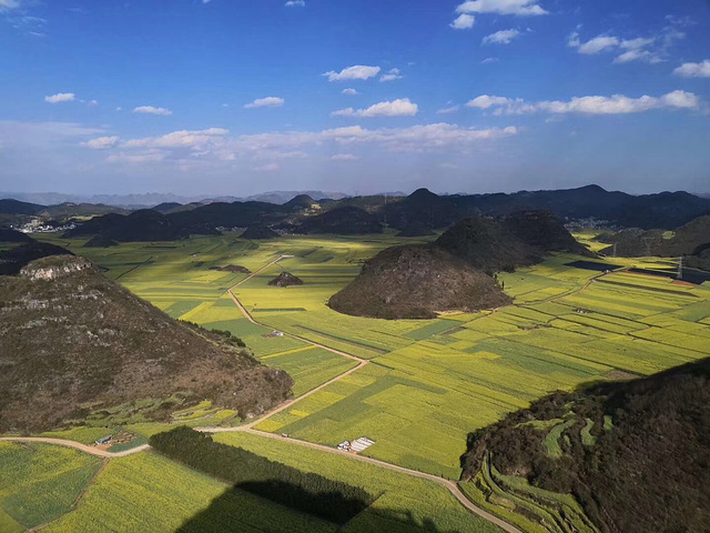 "黄山归来不看岳，罗平归来不看花田，罗平油菜花是震撼的视觉冲击。浓厚色彩的油菜花田_罗平油菜花景区"的评论图片