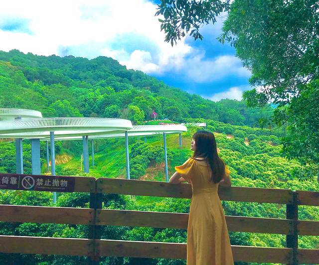 大顶岭山林公园