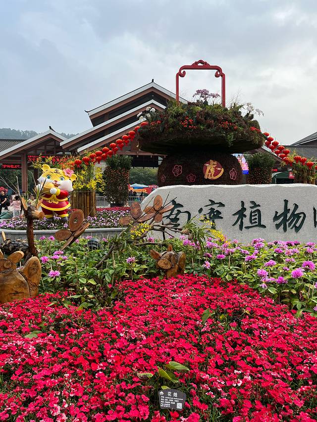 南宁青秀山兰园