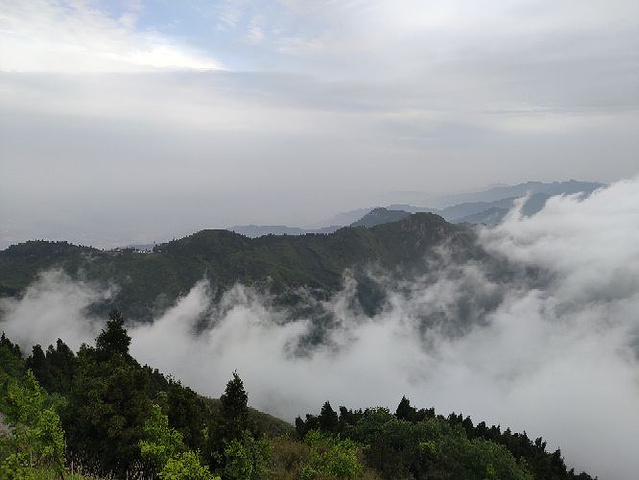 "衡山的景区交通比较好，可以坐索道和环保车，买票很容易，路线标志很清晰。_衡山"的评论图片