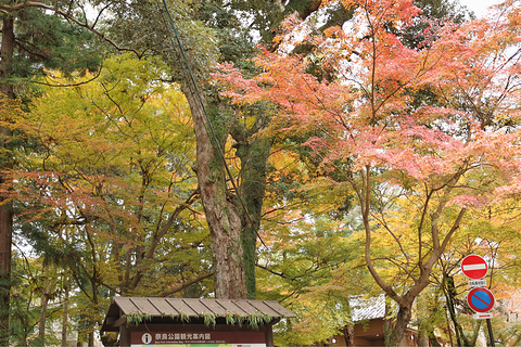 奈良公园旅游景点攻略图