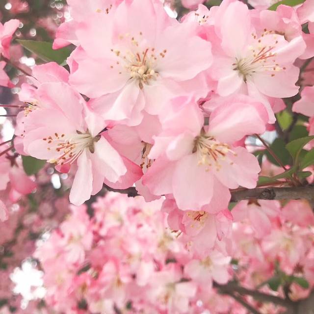 兴隆湖湿地公园