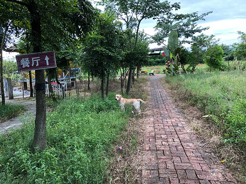 高蓢岛生态源旅游景点攻略图