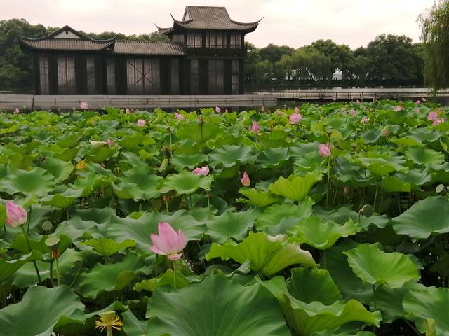 灵隐飞来峰景区