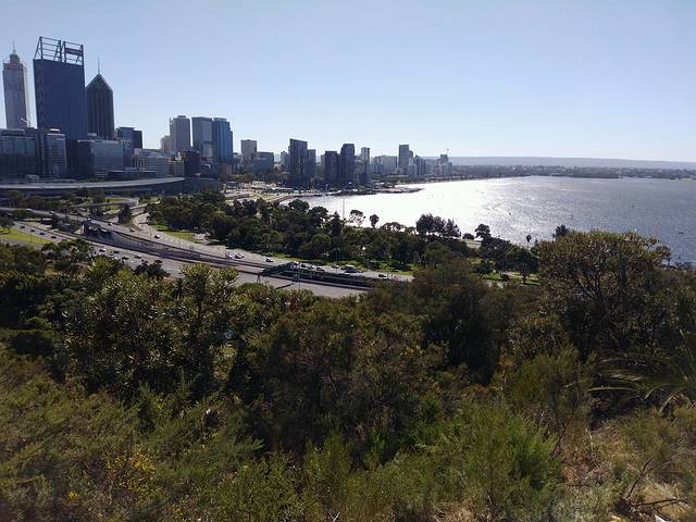 国王公园&植物园