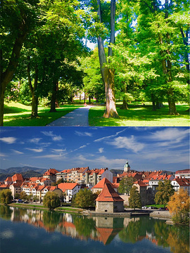 Maribor City Park旅游景点攻略图